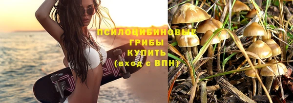 ешки Богородицк